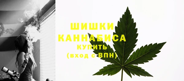 круглые Белокуриха