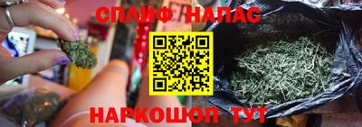 молекула духа Берёзовский