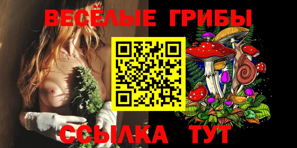 Галлюциногенные грибы прущие грибы Верхний Уфалей